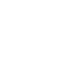 Replacement Vehicle
